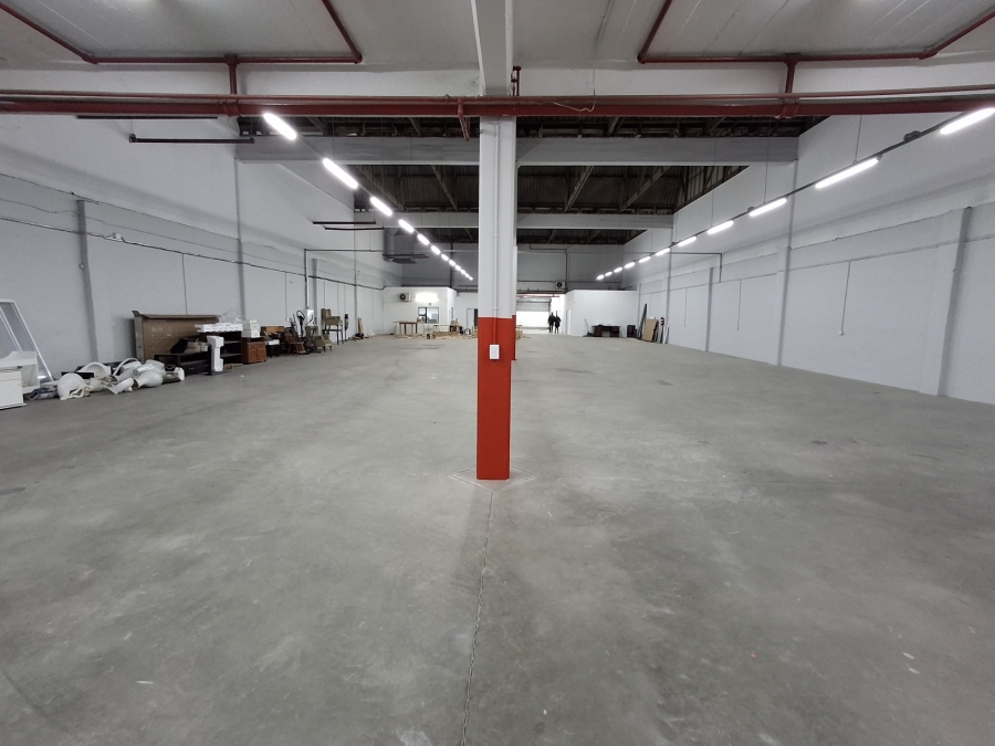To Let Commercial Property for Rent in Arcadia Eastern Cape